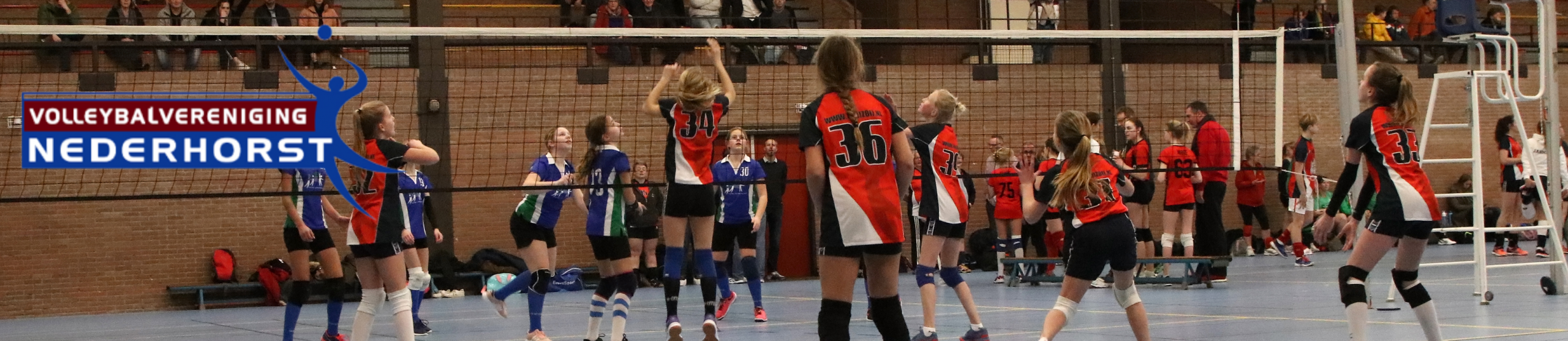 Volleybal Vereniging Nederhorst